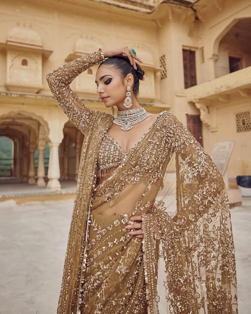 DF-3441 Mono Net Saree – Heavy 5mm & 9mm Sequin Embroidery with Designer Net Blouse | House of ShiVisha™