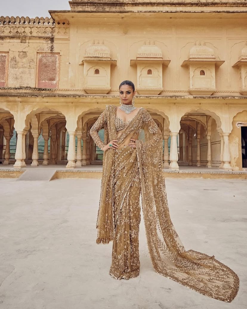 DF-3441 Mono Net Saree – Heavy 5mm & 9mm Sequin Embroidery with Designer Net Blouse | House of ShiVisha™