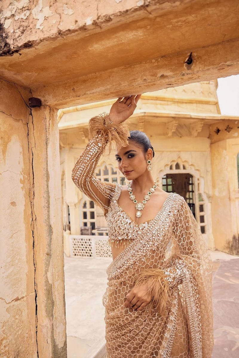 HOS DF 3466 Butterfly Net Sequins Saree with Embroidery - House Of ShiVisha